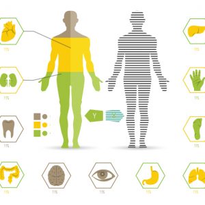 Σεμινάριο ΑΝΑΤΟΜΙΑ – ΦΥΣΙΟΛΟΓΙΑ – ΠΑΘΟΛΟΓΙΑ για σπουδαστές Βowtech